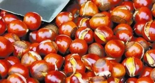 栗子吃瓜娱乐,揭秘娱乐圈幕后趣事