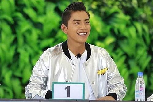 吃瓜娱乐王大陆,揭秘娱乐圈幕后故事