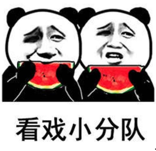 娱乐吃瓜酱的表情包,网络潮流的趣味缩影