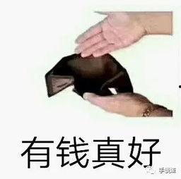 娱乐吃瓜酱借钱,揭秘明星借款背后的真相