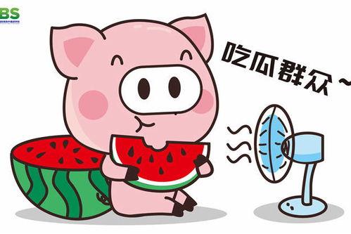 娱乐吃瓜酱的素材,从“421文件”到网红八卦，深度解析娱乐吃瓜文化